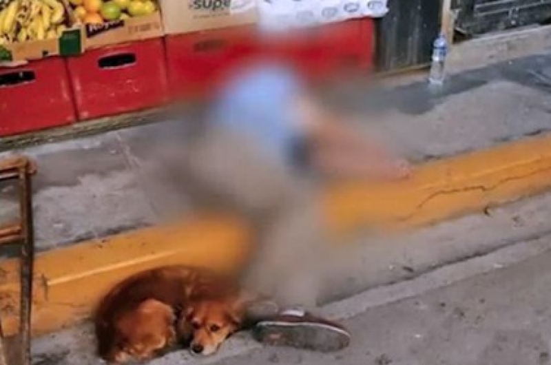 Cajamarca: Hombre fallece instantáneamente en plena calle ¡Y su perrito se niega a apartarse de él!