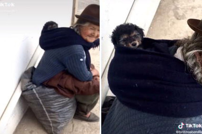 Abuelita carga a su perrito sobre su espalda como si fuera su hijo ¡Y la escena conmueve a miles en TikTok!