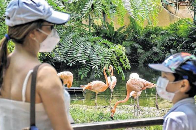 Zoológico se alista para reabrir puertas bajo estrictas medidas de bioseguridad contra el COVID-19