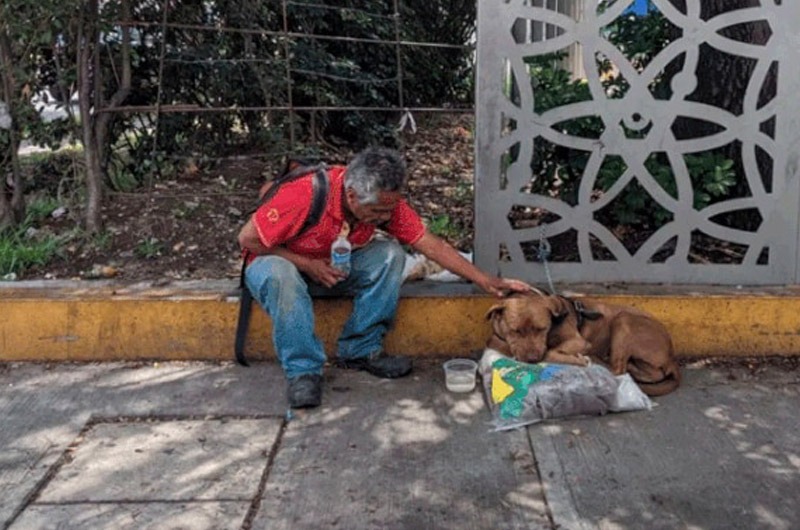 VIRAL: hombre vive en la calle junto a su perro tras haber sido despedido