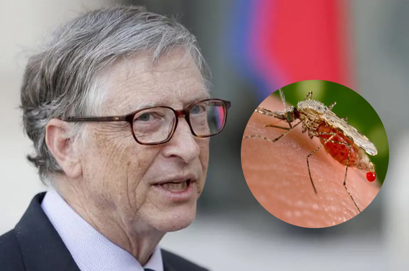 Bill Gates advierte sobre brote mundial de malaria a causa del COVID-19