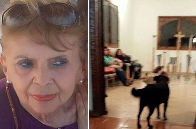 VIRAL: Fallece abuelita amante de los animales ¡Y perritos callejeros ingresan en manada a su funeral!