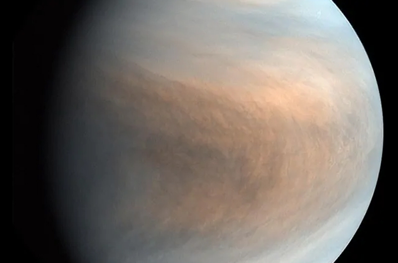 Detectan posibles indicios de vida en Venus