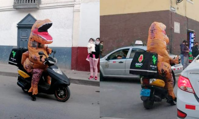 Dino Delivery