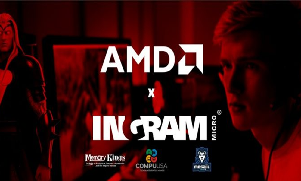Torneo AMD