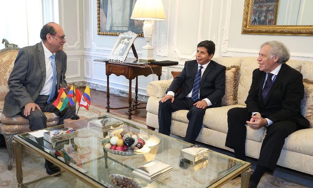 Presidente Castillo se reunió con secretarios generales de la ONU y OEA